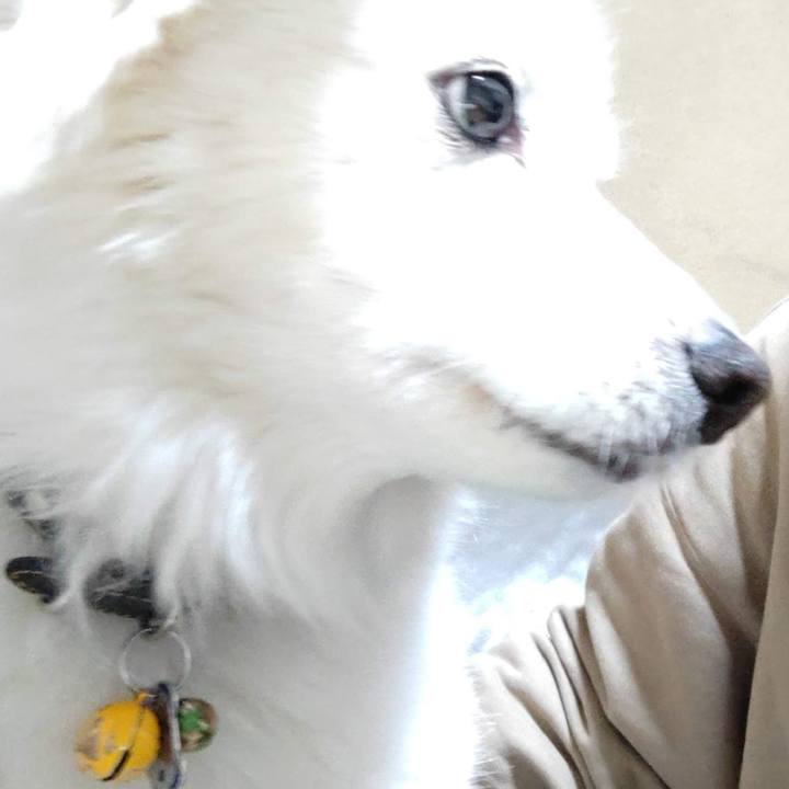 7e76af9a 186b 4114 97b5 57566229f7d2 1671403332905