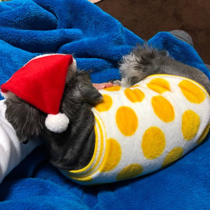 7e76e4f4 d1a1 4480 812f 5614d5d7c7b3 1577197428521