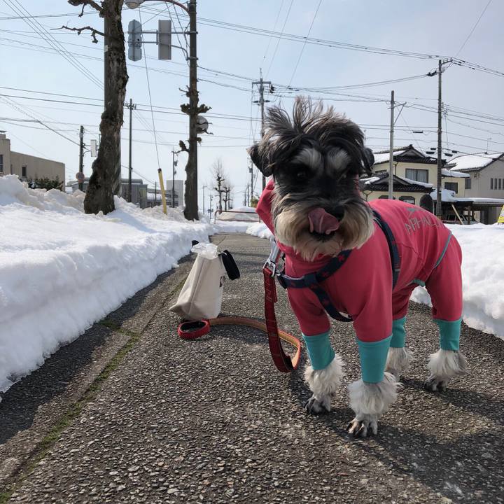 7e76f001 21d7 41aa adf2 f70ed9573984 1613795052557