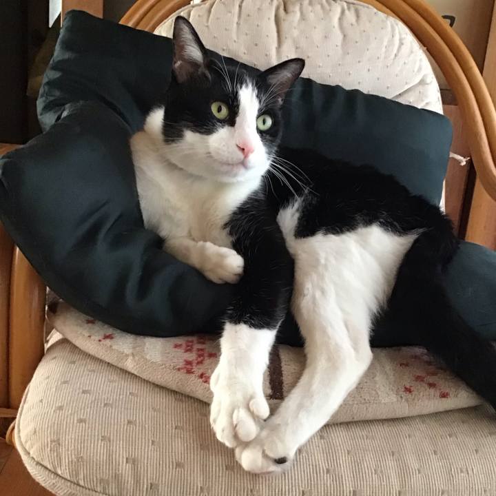 7e76f3f2 b326 4e32 ba84 c162b648e0d6 1720255297052