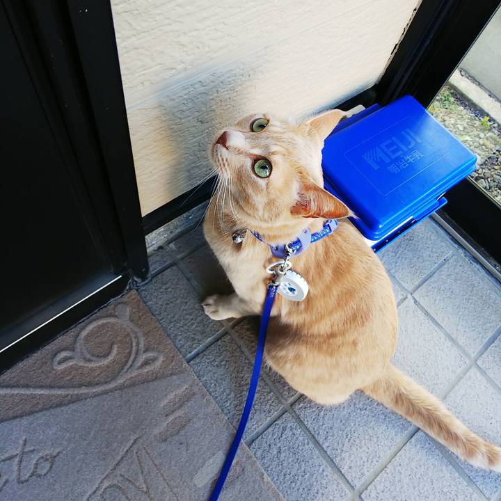 7e76fdc8 eb31 42df 8404 ed9fedf45443 1630391466156