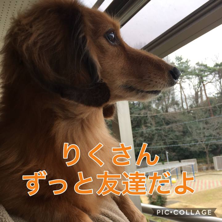 7e771988 4ca8 43d2 a532 38238d55ba42 1514694693233