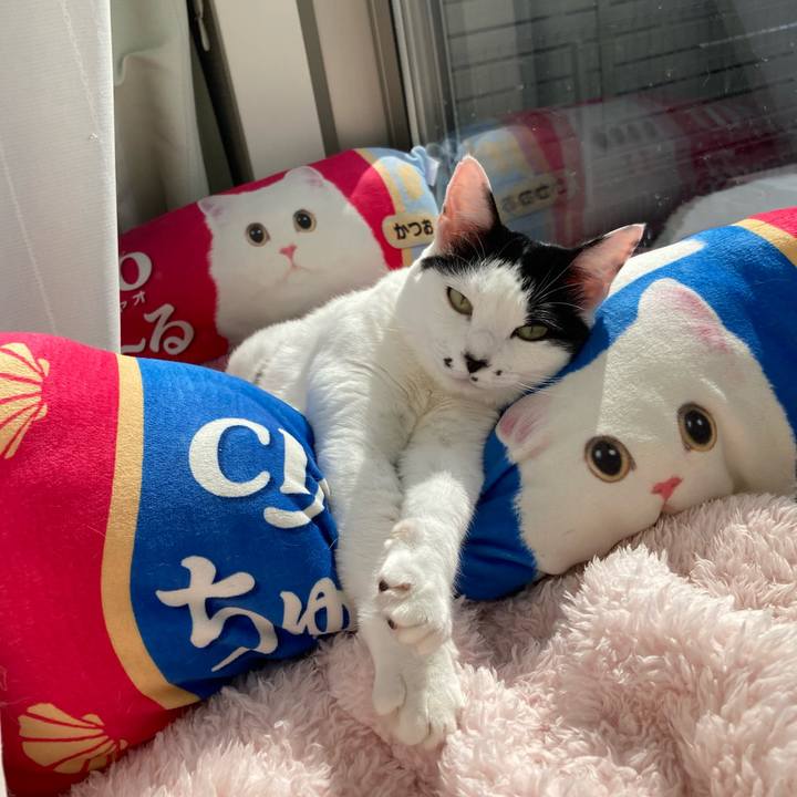 7e773fcd cb49 4722 9dc1 5da18929e22a 1761705416129