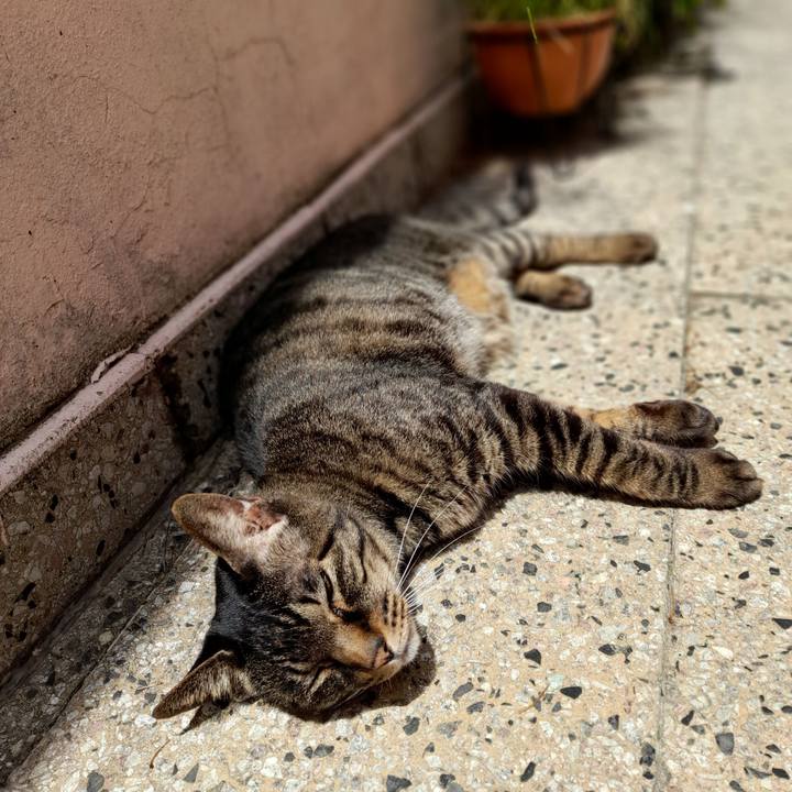 7e77712a 6098 4b31 80b5 3708ae7eadf7 1762130917743