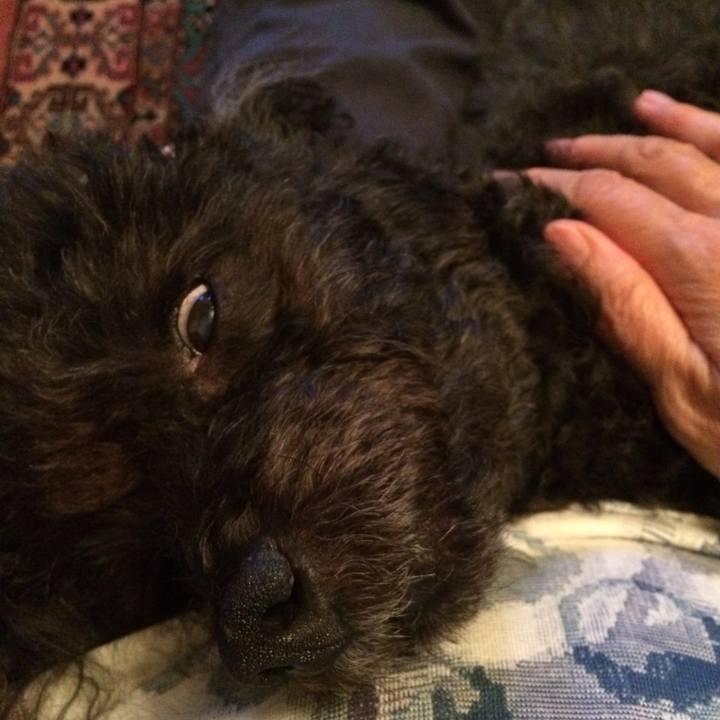 7e77b1e7 7d1c 4a86 a543 c5dc2d32fa14 1535191611056