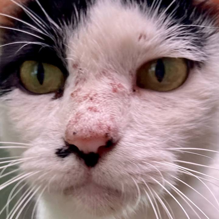 7e77d138 0f25 4b29 840e 1af43551e0d2 1760774082017