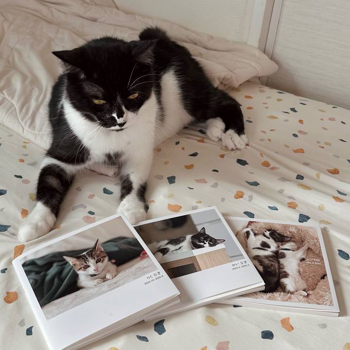 7e77d92d 1390 4155 b5b9 df5d7ddca6f4 1757055188801