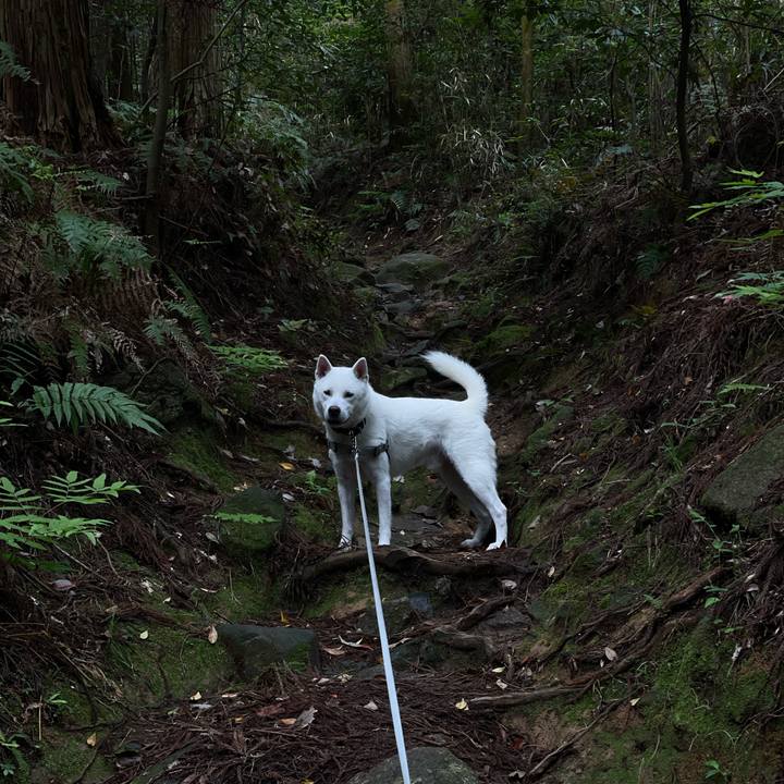 7e781031 d767 4245 9f7f c35efa809059 1714180433487