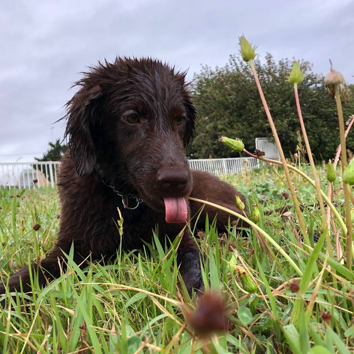 7e783463 ef35 4b43 9672 2698351e79d9 1556661532534