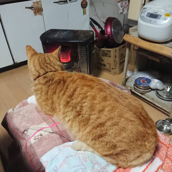 7e7843a8 ef42 4314 a731 be7ddd2f3843 1607115855836