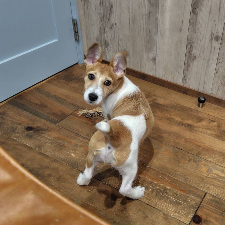 7e7845b1 5e3a 401a bf2e bcd44ddecaac 1713789631788