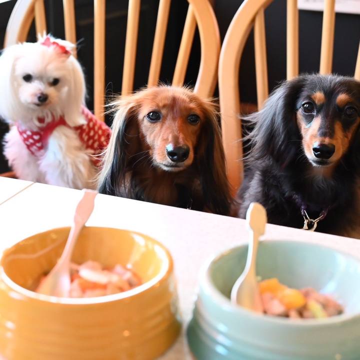 7e78afaa e779 493e 851e 2b3f6c82b653 1705736550245