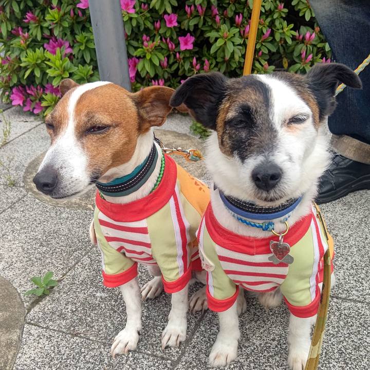 7e78b3ef c3b8 4308 b60c d86ebaabefbf 1713398235808