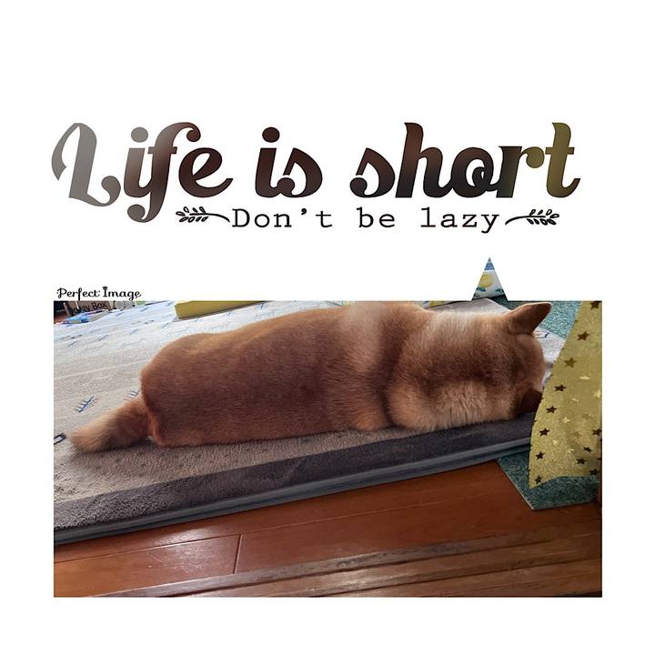 7e78c7c9 b66d 4493 b152 f75fb1dba3cf 1687758598822