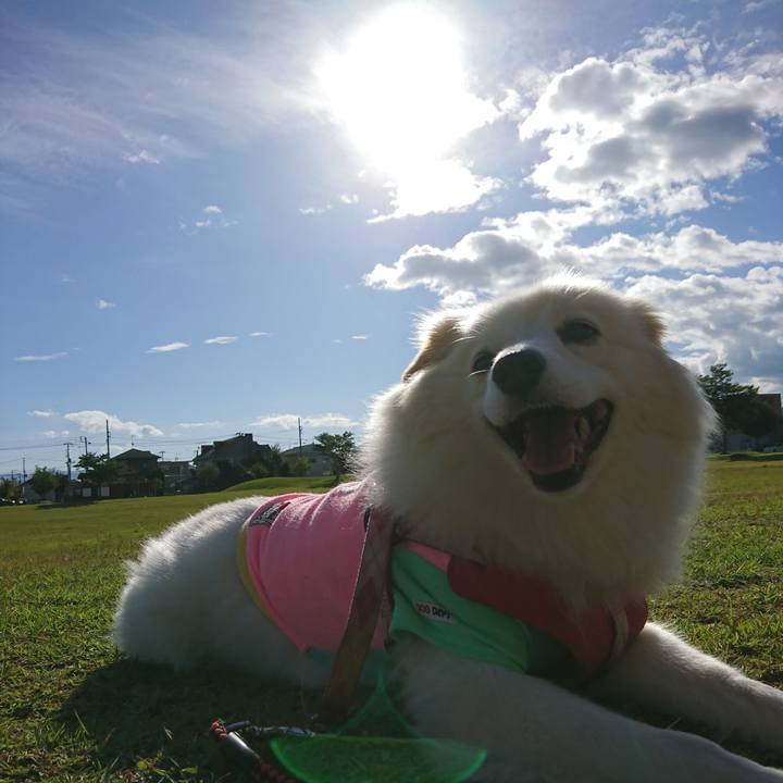 7e790c97 647d 4de2 83fe a1b182a05eba 1538436026775