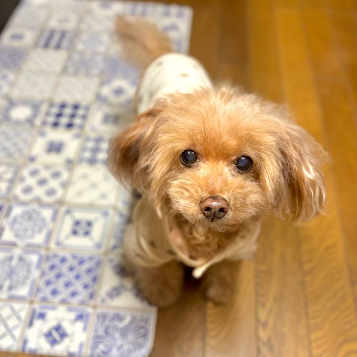 7e791133 fb4e 4448 ae93 20e6f49593ed 1767099753554