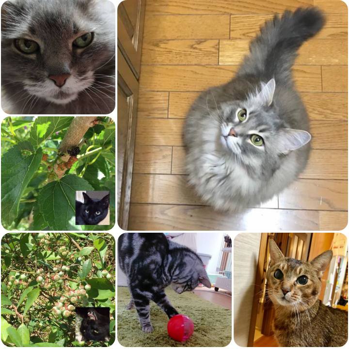 7e792510 b0e0 4c4f a9e9 5baf47e11ca5 1558613204476