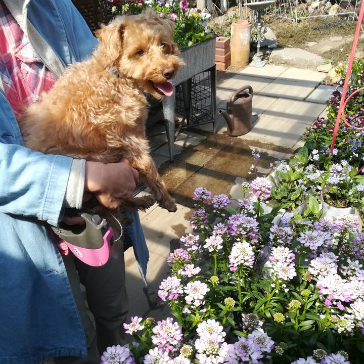 7e793442 ddcc 4060 b5b8 4100fca2ac64 1555207283704