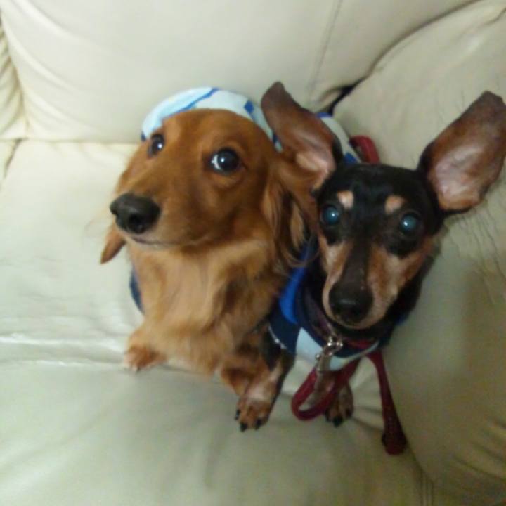 7e79421b 95b7 4598 93dd 1574e607bcd6 1590886481251