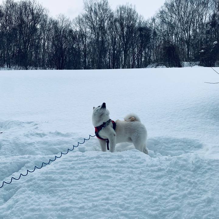 7e794258 f9f6 4c96 b762 ca2125c19b6f 1676766760423