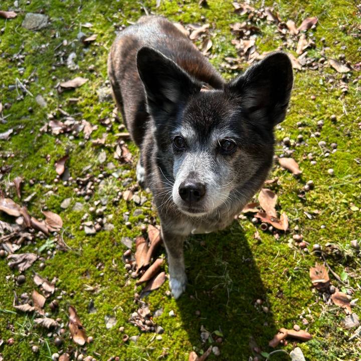 7e79ac19 3066 49f0 9144 193ff2f74a13 1770349865606