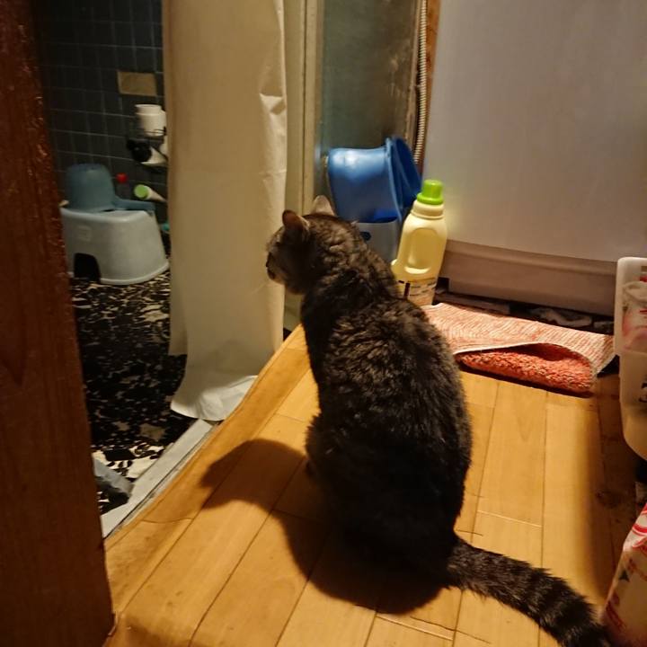 7e79c0e6 1a53 4b79 b791 5838f27ca4db 1572684480900