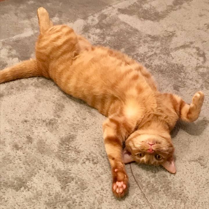 7e79c819 20cc 4179 86ae 610c4f450e4a 1595759314273