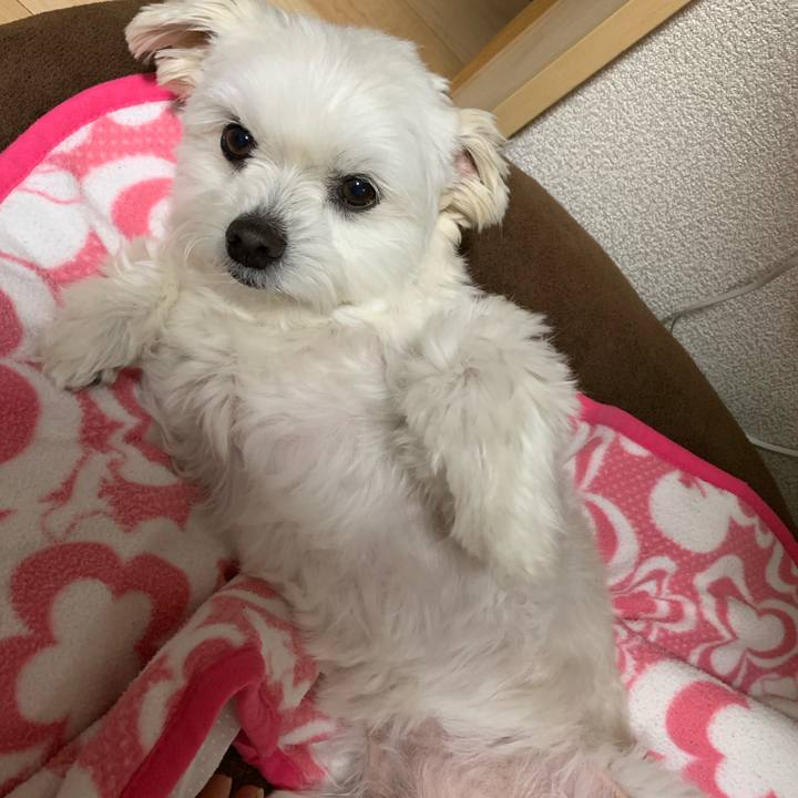 7e79c828 5c73 4d18 b898 0daae6de593e 1647605687100