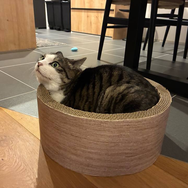 7e79d0bf 98b5 46a3 abd9 7e55c5b5aa32 1764800195118