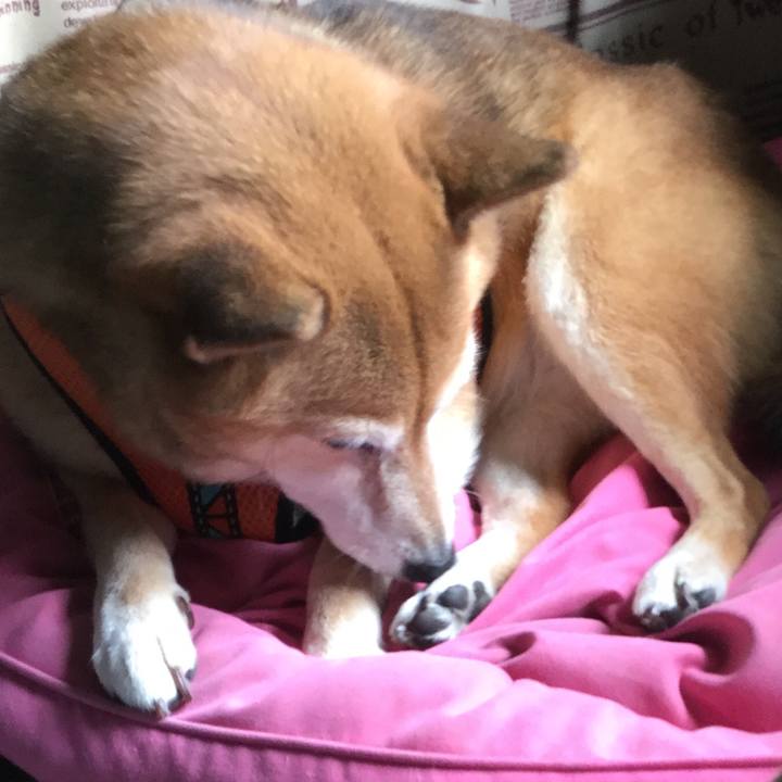 7e79e6be 3398 4f78 9776 97bed35e5419 1632739757789