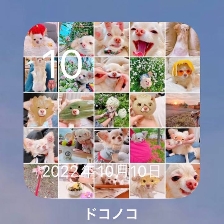 7e7a0f6f 6a4c 4a47 b6fc 0260dc55ebea 1696904295781