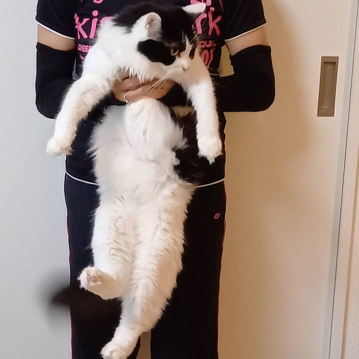 7e7a3395 7621 4d41 a616 c01154720d7a 1628674309217