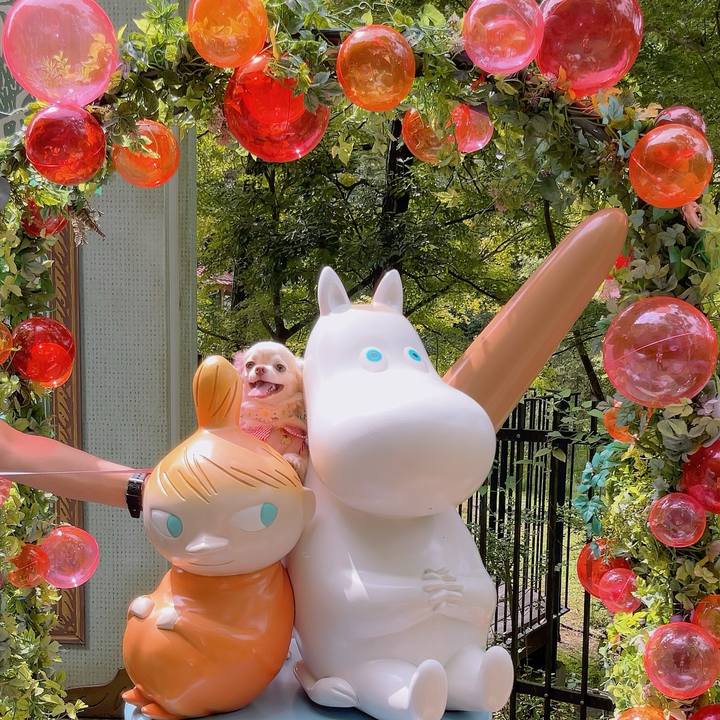 7e7a3757 bdd0 4ea4 a5c3 c3b5ad68286b 1694427833666