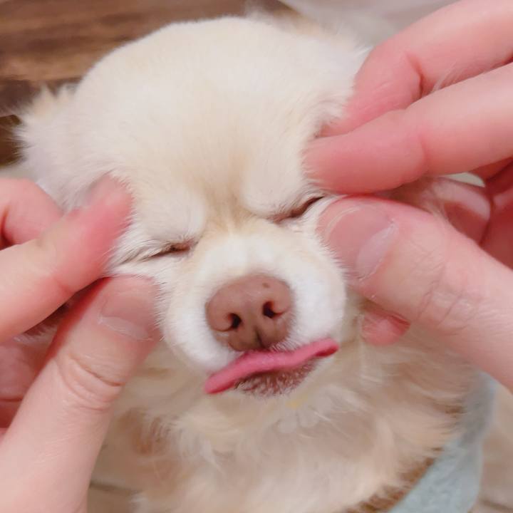 7e7a7745 2cef 4ffc 9e12 b113018e2279 1767017275857