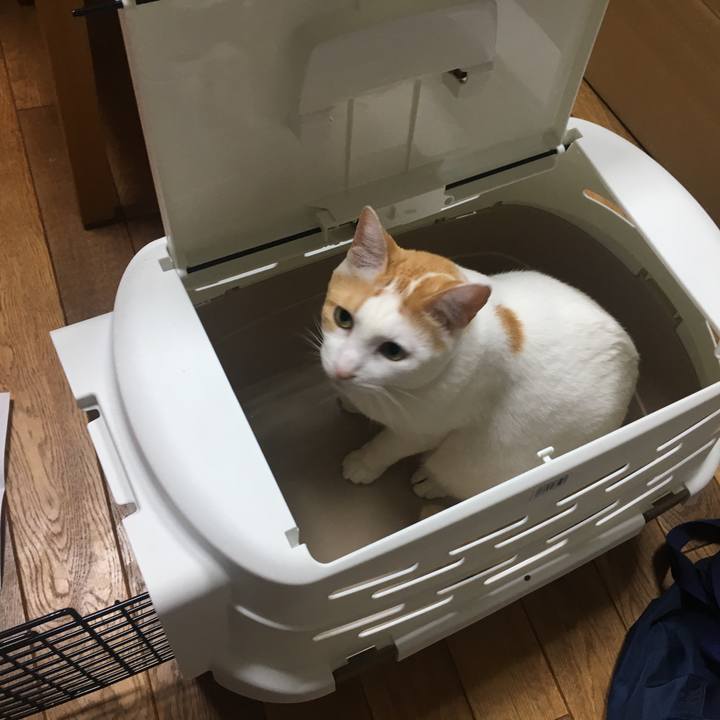 7e7a9f7b 2c22 48fc af8e 7d7a072d4690 1535385874366