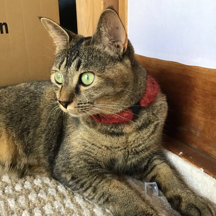 7e7ab3fe f6cb 40b9 a7e7 3c8d22f5f3e7 1601428388398