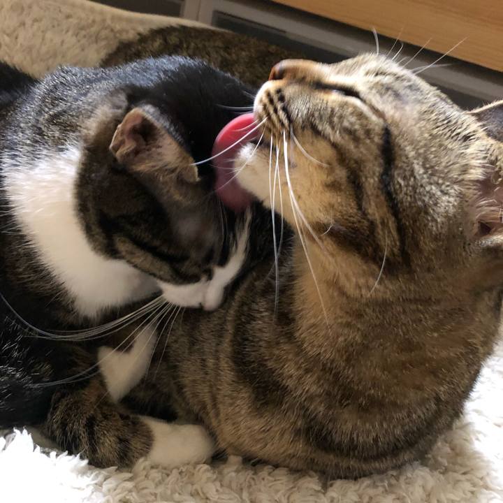 7e7ad0fb 421f 472a b5dc e285fbe29f86 1516867976316