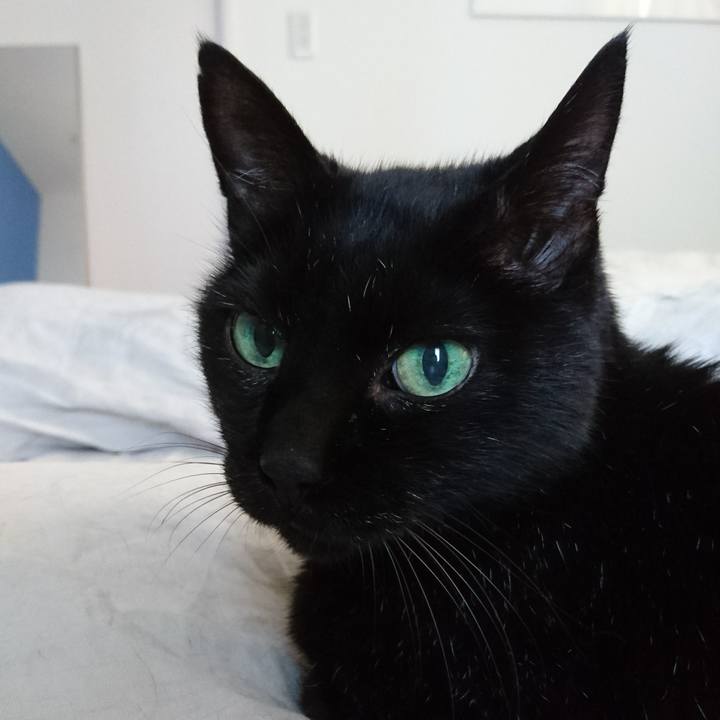 7e7b7645 c032 4d98 b719 c542172e48fc 1533623812999