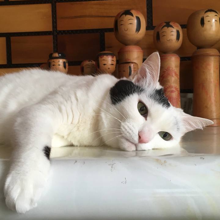 7e7beb57 593c 4e80 9812 f490cdc48891 1589785610015