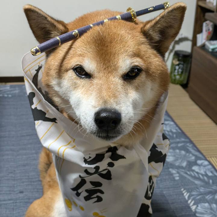 7e7c397e f13a 482b 9c81 52570e5ce98f 1730852268061