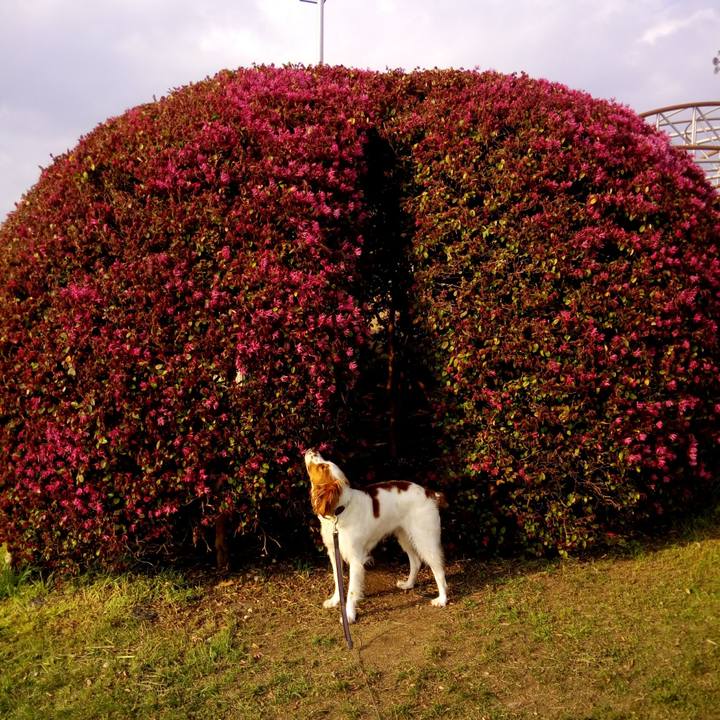 7e7c6702 37b1 42ec aa7b a7a34b5123c0 1528072376422