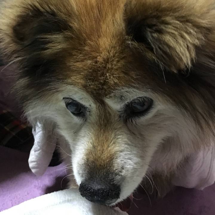 7e7c6807 8dd4 4ff4 adce 0bc4c6bd6c0e 1605098856477