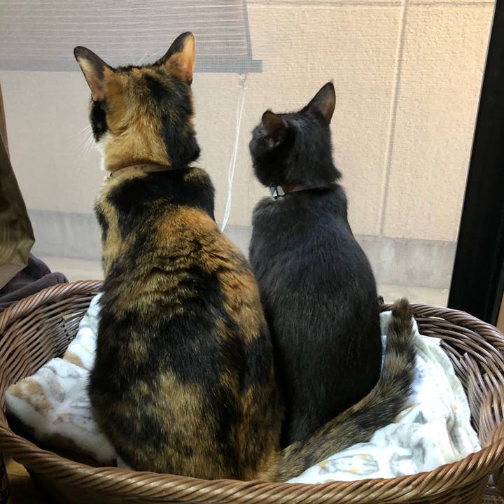 7e7c6f2e a95a 4032 bdc9 dd36fe43b17f 1622590130538