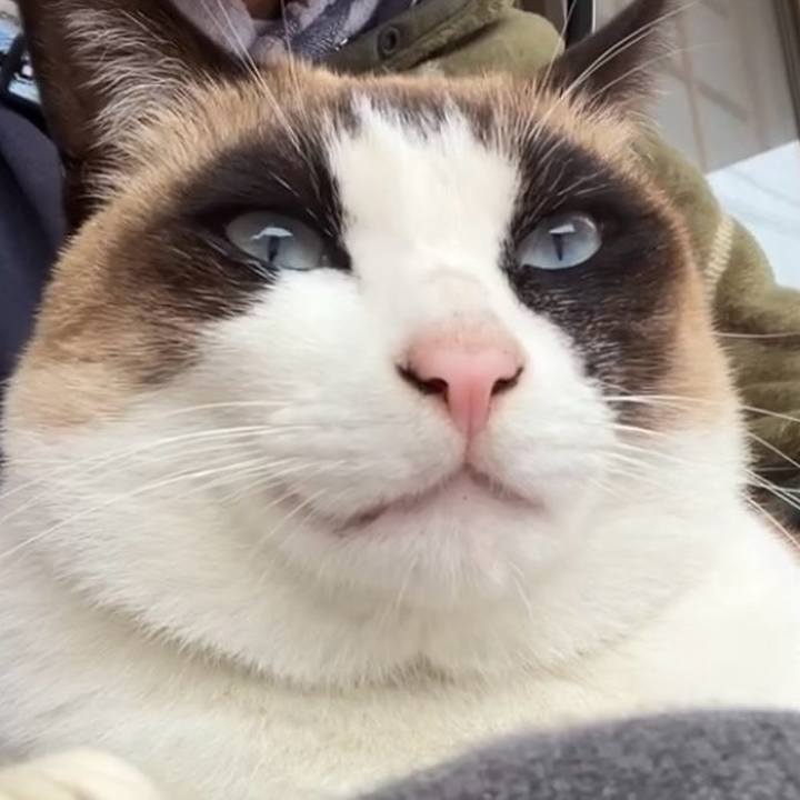 7e7c796d 5b2e 4ace bd1a 58b277425d85 1740710933570