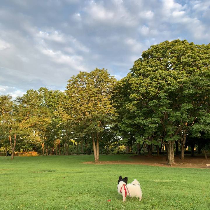 7e7c917f 5c3d 4996 aeea d1997ea213fc 1565216203755