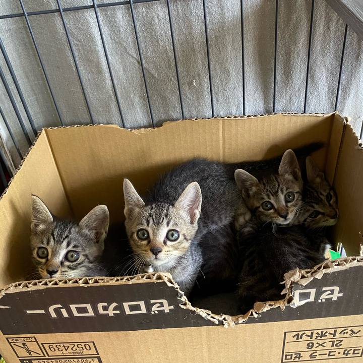 7e7cf503 37e5 4355 a215 9f8e3b1cc161 1719993013892