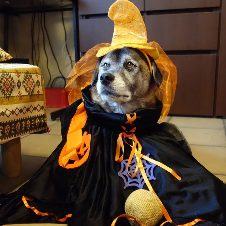 7e7d0814 e54e 4c49 8839 a34e2f8e655b 1650588995969