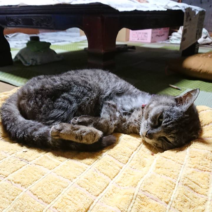 7e7d0fa3 35c0 484e b889 bf4925e444f1 1594727993250