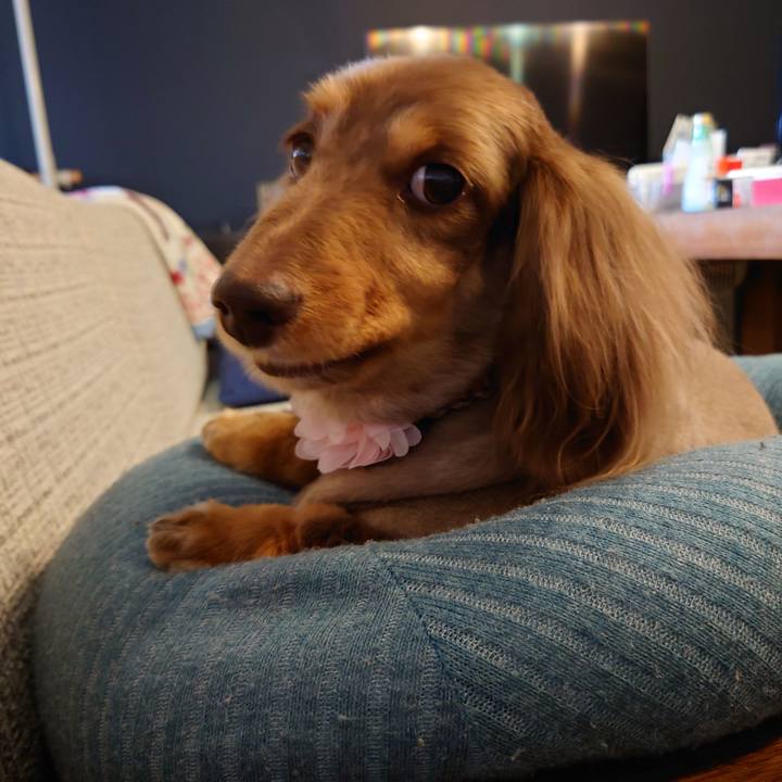 7e7d1ba0 15c5 43e2 afb4 9acf83341682 1683788947604