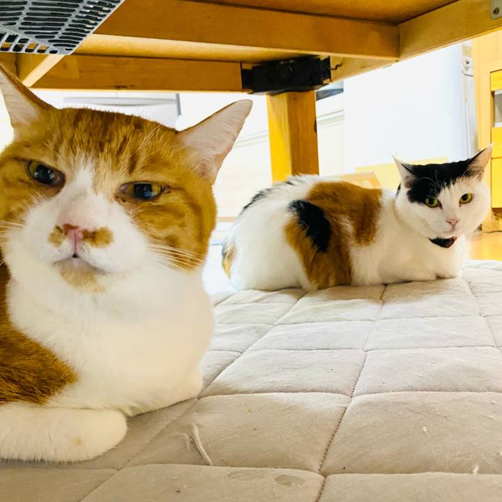 7e7d1d8e 60c3 4079 a8fe ccdff3cbedd2 1696686045516